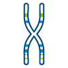 Germline DNA