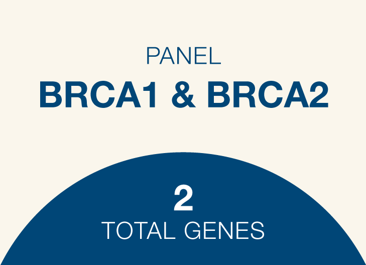 Hereditary breast and ovarian cancer syndrome