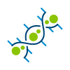 Methylome