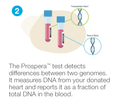 Testing DNA