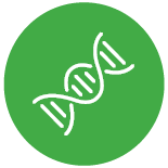 Genetic data Icon